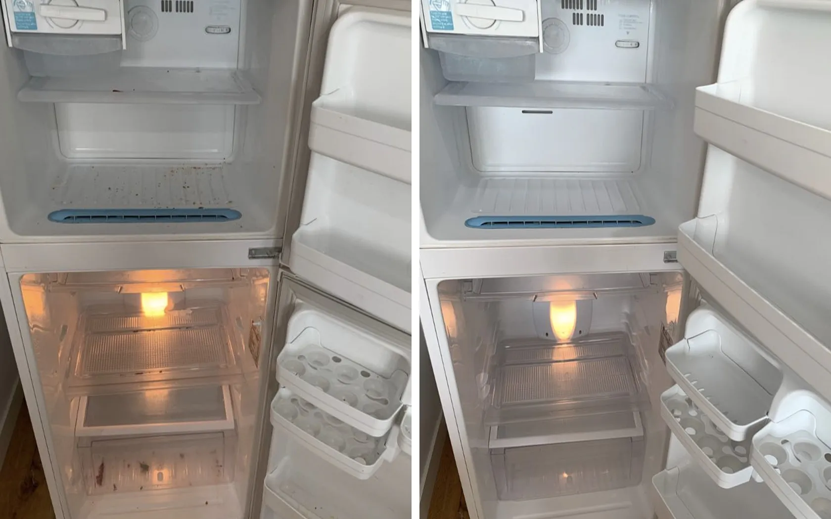 Perth exit-clean refrigerator interior before and after